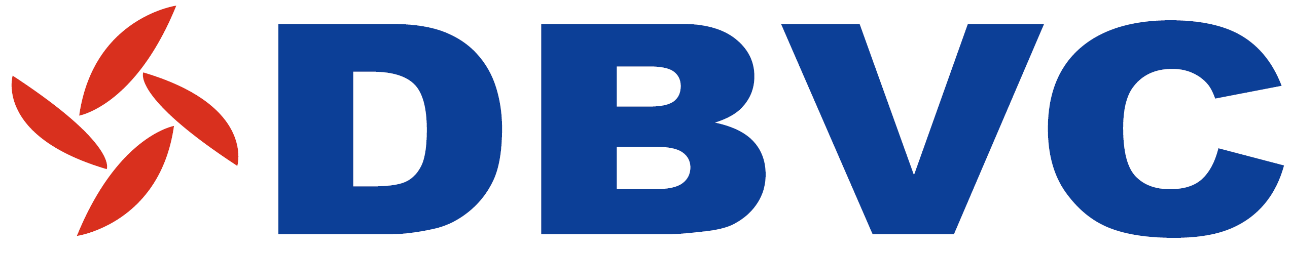 DBVC Kongress 2012